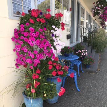 Town & Beach Motel - They obviously take care of the outside - Hotels Near Me - Falmouth, Massachusetts Town & Beach Motel - They obviously take care of the outside - Hotels Near Me - Falmouth, Massachusetts