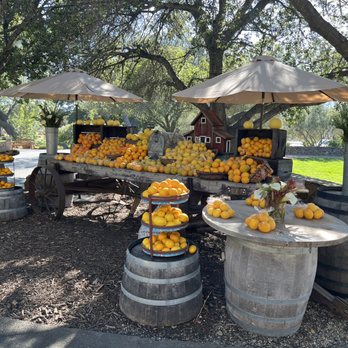 Regusci Winery - Wine Tasting Room Near Me - Napa, California Regusci Winery - Wine Tasting Room Near Me - Napa, California