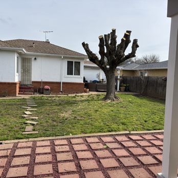 De La Cruz Tree Service - Job complete - Tree Services Near Me - Elk Grove, California De La Cruz Tree Service - Job complete - Tree Services Near Me - Elk Grove, California