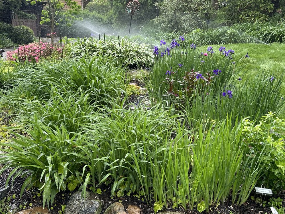 Slide of Sprinkle Smart