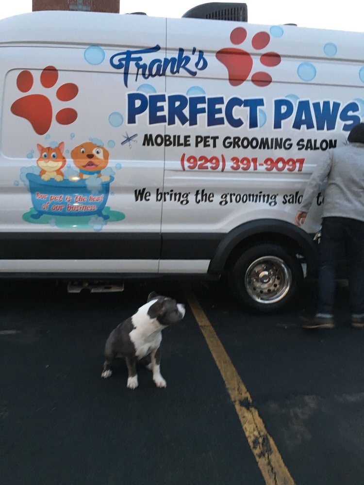 Dog Groomers Purrfect Paws Grooming Grooming Business Purrfect