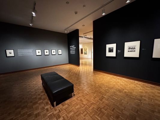 Milwaukee Art Museum by null