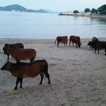 銀礦灣泳灘 - Beaches Near Me - Hong Kong, HK