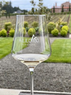 Alloro Vineyard by null