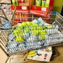 Photo of Community Harvest Food Bank