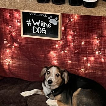 Valor Wines - Wine Tasting Room Near Me - North Haven, Connecticut
