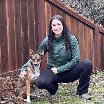 Bark Busters Home Dog Training - Oakland - Pet Training Near Me Bark Busters Home Dog Training - Oakland - Pet Training Near Me
