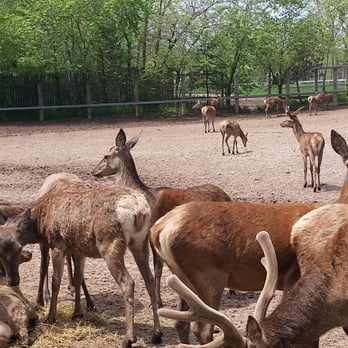Marineland - Animals - Amusement Parks Near Me - Niagara Falls, Ontario Marineland - Animals - Amusement Parks Near Me - Niagara Falls, Ontario
