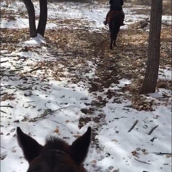 Running Horse Ranch - Riding behind my guide - Horseback Riding Near Me - Albuquerque, New Mexico
