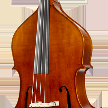 String World Instruments - Musical Instruments & Teachers Near Me