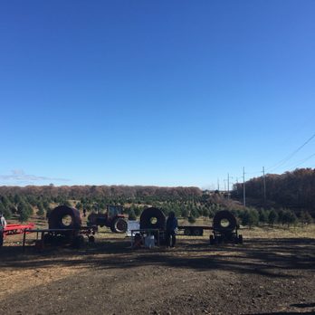 Lewin Farms - Pick Your Own Farms Near Me - Calverton, New York Lewin Farms - Pick Your Own Farms Near Me - Calverton, New York