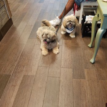 Animal Eye Care Associates - Veterinarians Near Me - Chesapeake, Virginia Animal Eye Care Associates - Veterinarians Near Me - Chesapeake, Virginia