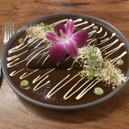 Chicken enchiladas in mole sauce.