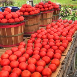 Garden Valley Farmers Market - Garden Valley Farmers Market - Haw River
