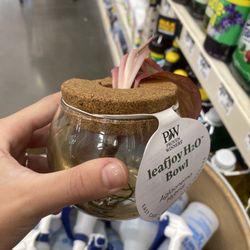 The Home Depot - Dying plant.