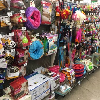 Petco - Lame Cat Toy Aisle - Pet Stores Near Me - Louisville, Kentucky Petco - Lame Cat Toy Aisle - Pet Stores Near Me - Louisville, Kentucky