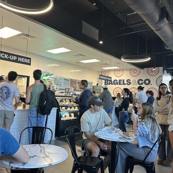 The Bagels and Co - Inside - Coffee & Tea Near Me - Gainesville, Florida The Bagels and Co - Inside - Coffee & Tea Near Me - Gainesville, Florida