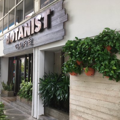 Botanist Veggie Cafe by null