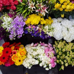 Miami Flower Market