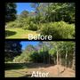 Photo of M & M Mulching and Clearing