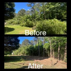 M & M Mulching and Clearing
