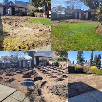 Perfect Pitch Landscaping - Recent Grub Control and Lawn Rejuvenation - Lawn Services Near Me Perfect Pitch Landscaping - Recent Grub Control and Lawn Rejuvenation - Lawn Services Near Me