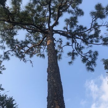 LaBelle Nature Park - Parks Near Me - LaBelle, Florida
