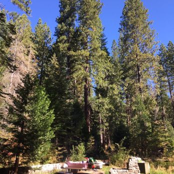 Calaveras Big Trees State Park - In the midst of Big Trees - Parks Near Me - Arnold, California Calaveras Big Trees State Park - In the midst of Big Trees - Parks Near Me - Arnold, California