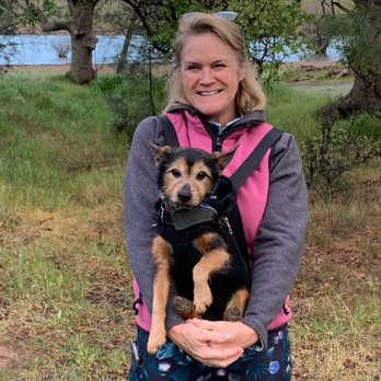 Riverwood Veterinary Hospital - When walking became too difficult.  And then we got strollers. - Veterinarians Near Me - Chico, California