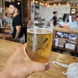 Ivanhoe Park Brewing
