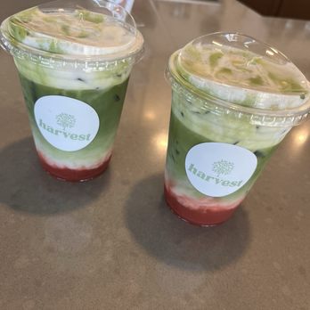 Harvest Coffee + Kitchen - Strawberry Fields Matcha - Coffee & Tea Near Me - Fort Worth, Texas