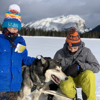 Snowy Owl Sled Dog Tours - Tours Near Me - Canmore, Alberta Snowy Owl Sled Dog Tours - Tours Near Me - Canmore, Alberta