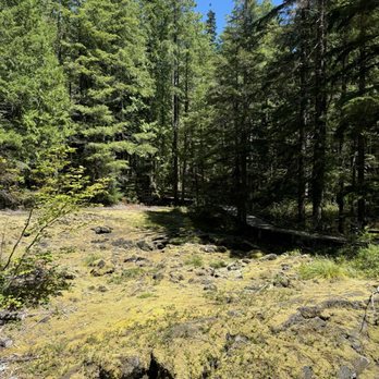 Trail of Two Forests Interpretive Site - Lava covered in moss - Parks Near Me - Cougar, Washington Trail of Two Forests Interpretive Site - Lava covered in moss - Parks Near Me - Cougar, Washington