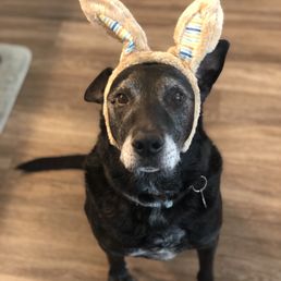 Sweet boy