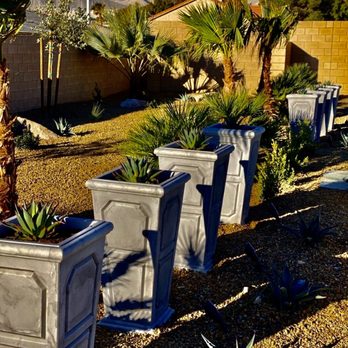 TreeLine Landscape Services - a row of planters - Landscaping Near Me - Las Vegas, Nevada TreeLine Landscape Services - a row of planters - Landscaping Near Me - Las Vegas, Nevada