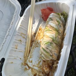 Dragon Roll Dragon Roll