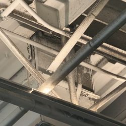 LA Fitness - I'd say mold?