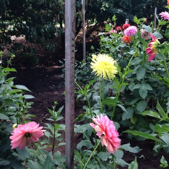 Volunteer Park - Parks Near Me - Seattle, Washington