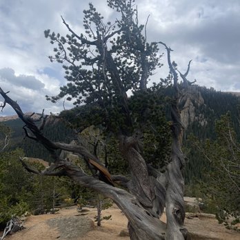 The Crags Campground - Campgrounds Near Me - Divide, Colorado The Crags Campground - Campgrounds Near Me - Divide, Colorado