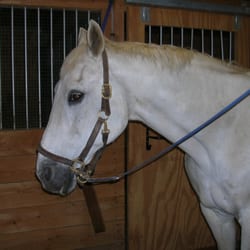 Delaney Stables - Hanging out inHorse Heaven
