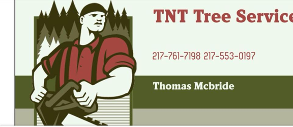 TNT Tree Service - tree service in Springfield, IL