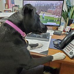 Pawsome Pet Supplies & Grooming