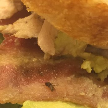 Panera Bread - Sandwiches Near Me - Hayward, California Panera Bread - Sandwiches Near Me - Hayward, California