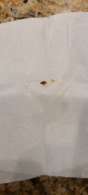 Crowne Plaza San Diego - Mission Valley by IHG by null