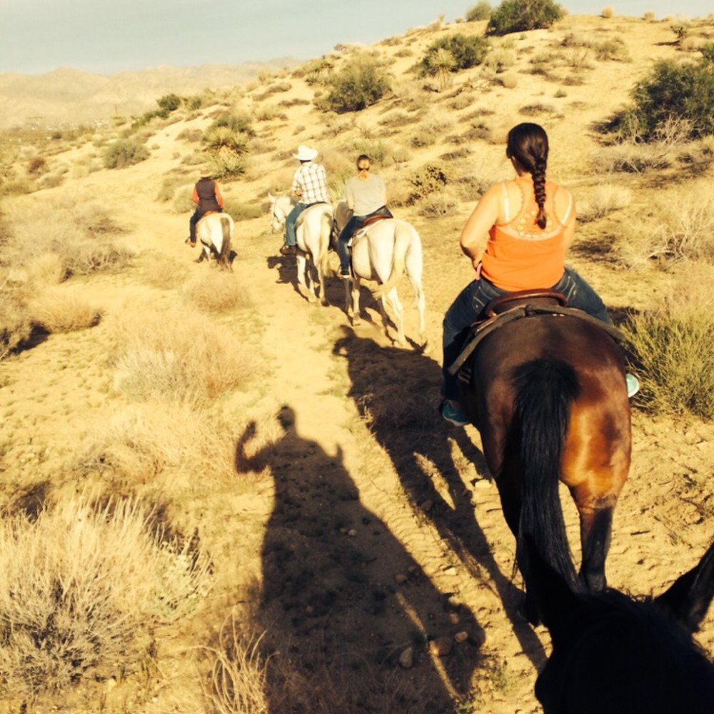 Crazy Horse Ranch - Horseback Riding Near Me - Morongo Valley, California Crazy Horse Ranch - Horseback Riding Near Me - Morongo Valley, California