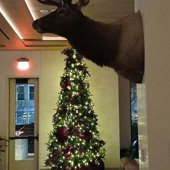 The Compton Bentonville - Elk in the lobby - Hotels Near Me - Bentonville, Arkansas