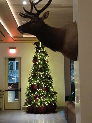 The Compton Bentonville by null