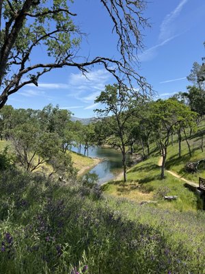 Lake Berryessa by null