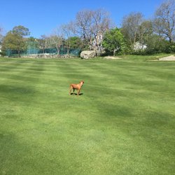 Bass Rocks Golf Club