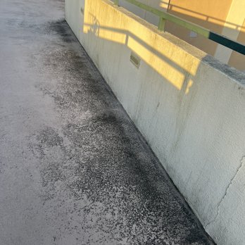 Cliff Warren Investments - Black Mold - Investing Near Me - Hermosa Beach, California Cliff Warren Investments - Black Mold - Investing Near Me - Hermosa Beach, California